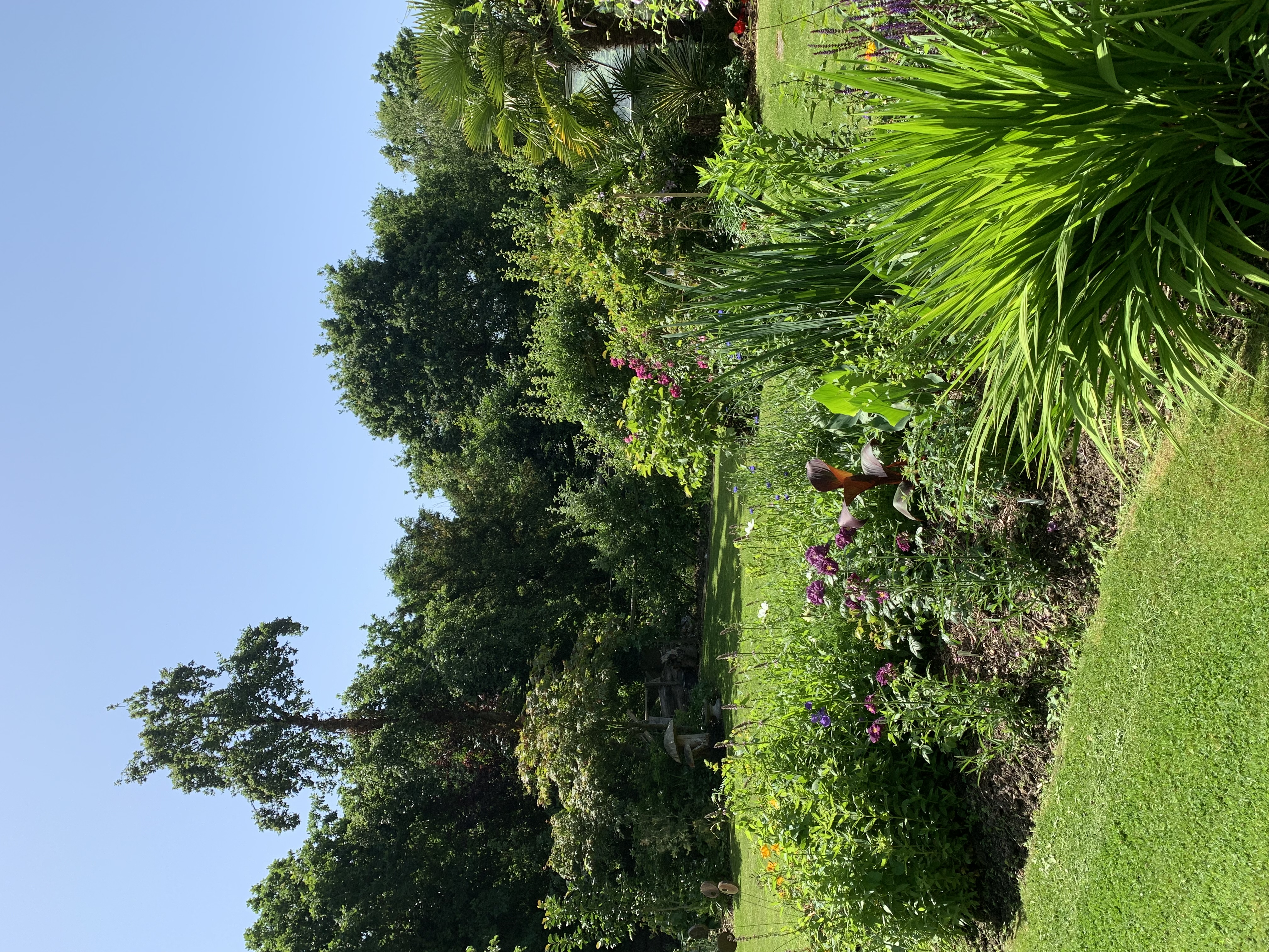 Colourful flower border with lawn
