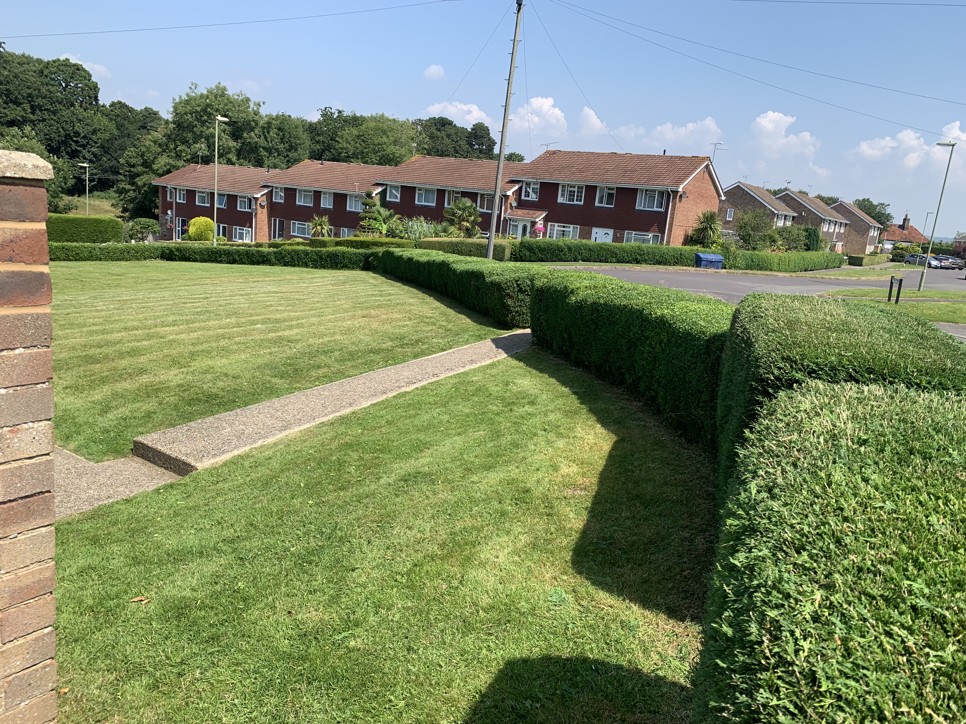 Neatly trimmed hedge with lawn